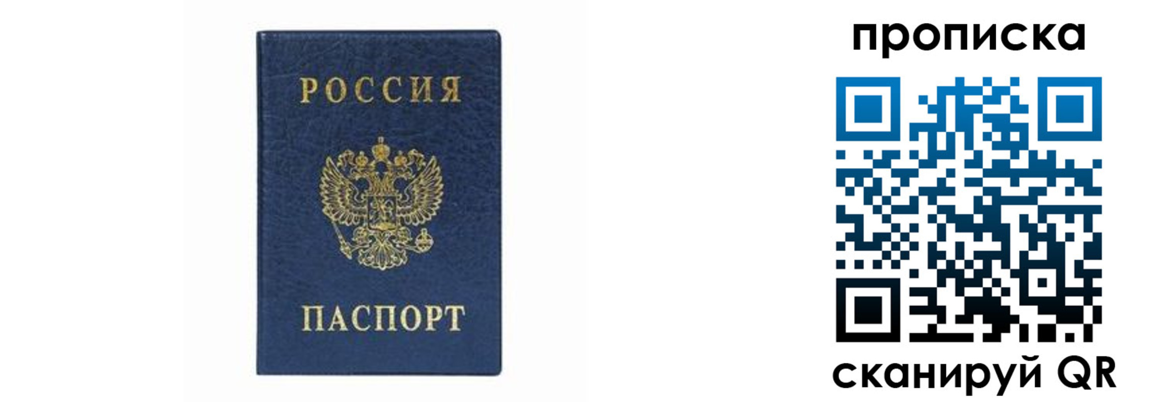 временная регистрация поиск в Трёхгорном